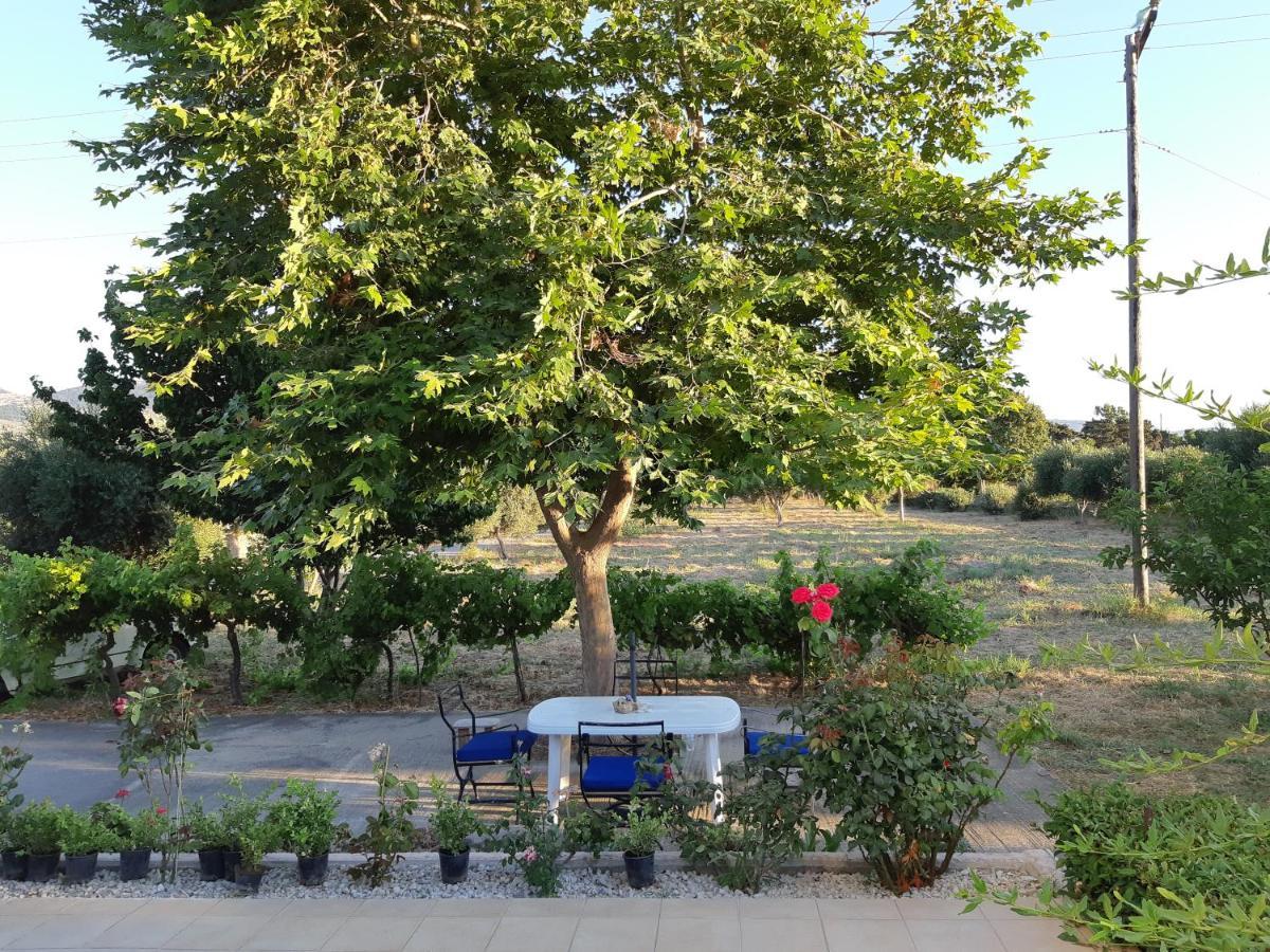 Zipárion Swan House Panoramic View - Near The Seaヴィラ エクステリア 写真
