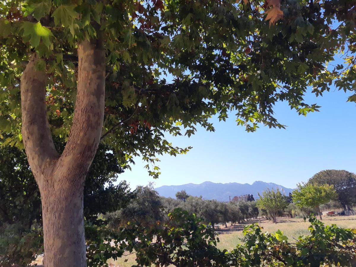 Zipárion Swan House Panoramic View - Near The Seaヴィラ エクステリア 写真