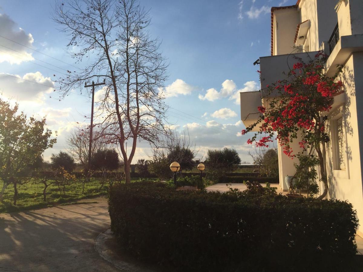 Zipárion Swan House Panoramic View - Near The Seaヴィラ エクステリア 写真