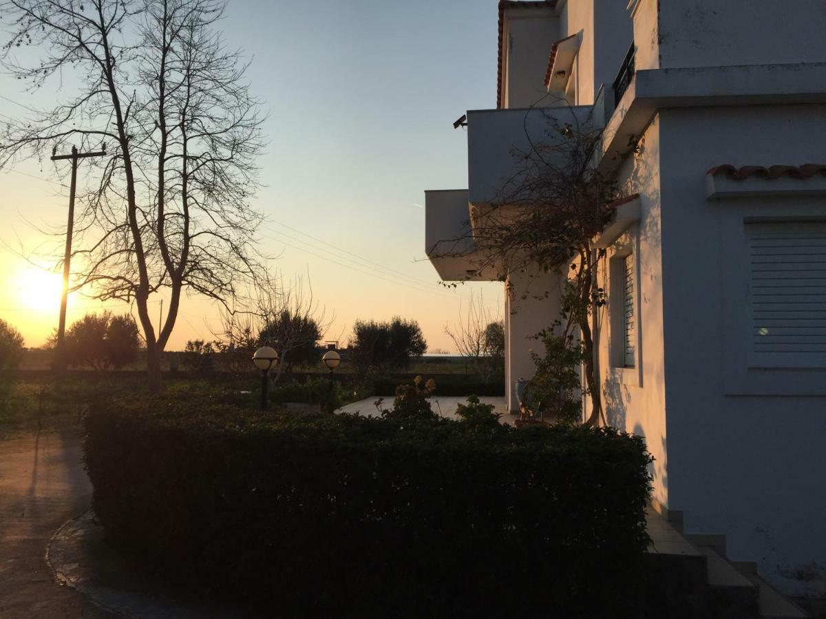 Zipárion Swan House Panoramic View - Near The Seaヴィラ エクステリア 写真